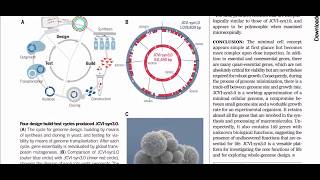 صورة الرد على كهنة الإلحاد