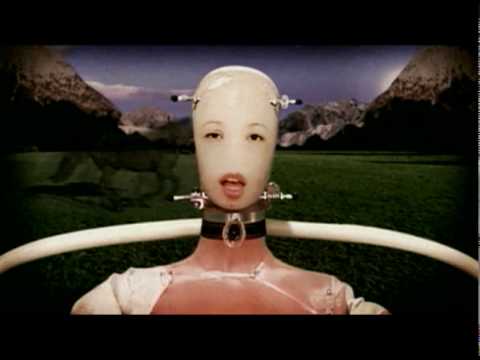 Blonde redhead equus lyrics pics 628