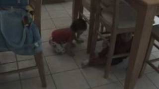 Kids playing in the kitchen
