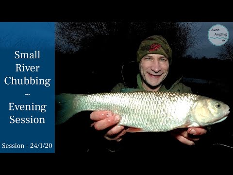 Small River Chub Fishing - Evening Session Into Dark - 24/1/20 (Video 141)