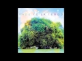 Yo La tengo Paddle Forward