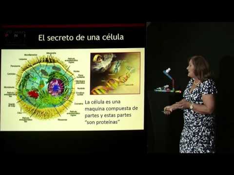Epigenética. Una señal del ambiente controla el trabajo biológico. Por Dra. Marianela Castés Boscán