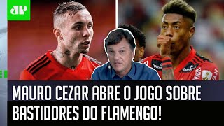 ‘Se o Flamengo conseguir trazer o Cebolinha, vai ser…’: Mauro Cezar abre o jogo sobre bastidores