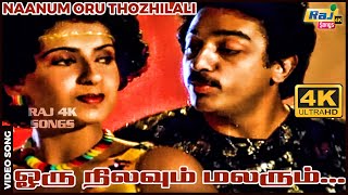 Download lagu ஒரு நிலவும் மலரும்...| Kamal Haasan | Ambika | Ilaiyaraaja | Jaishankar | Raj 4K Songs mp3 Download lagu ஒரு நிலவும் மலரும்...| Kamal Haasan | Ambika | Ilaiyaraaja | Jaishankar | Raj 4K Songs mp3