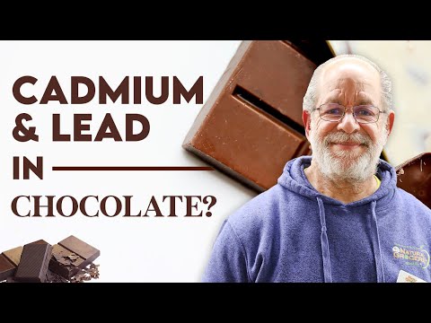 Nutrition expert on the safety of cadmium & lead in chocolate