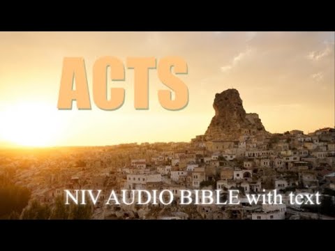 ACTS(NIV AUDIO BIBLE with text)