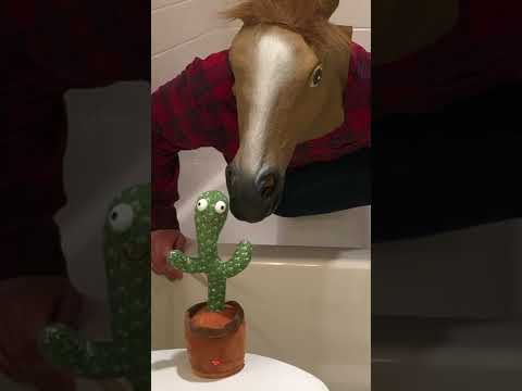 Buckets the Drummer vs. Dancing Cactus