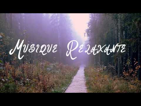 Nimino - Come For The Flowers ft. Ina Shai