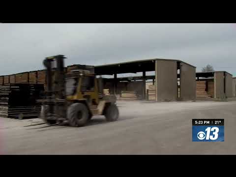 Mo PAC Lumber's walnut legacy: from a coal shovel to a global woodworking powerhouse