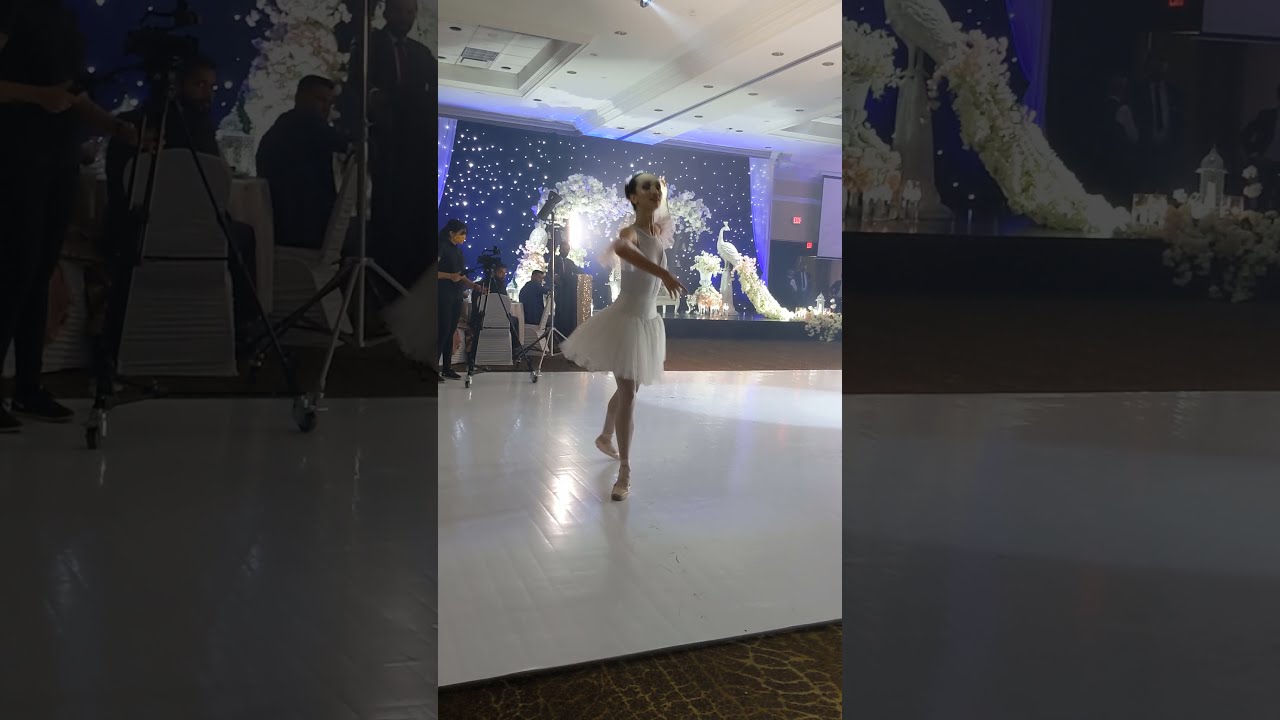 Promotional video thumbnail 17 for Ballet Reveries