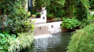 preview picture of video 'Longwood Gardens Outside & Inside August 24 2013'