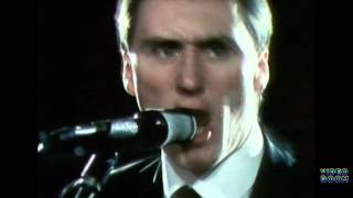 Nine Below Zero - Three Times Enough (1981)