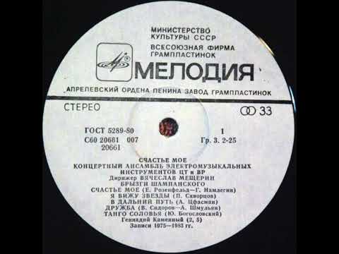 A1. Брызги Шампанского - Mescherin's Orchestra