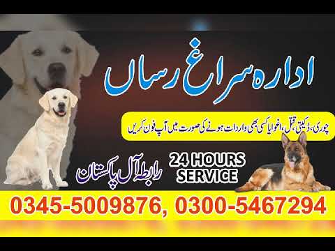 Army dog centre Attock 03455009876 Fateh jang Jand Tala gang