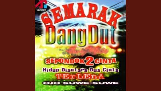 Download lagu RT 5 RW 3 mp3