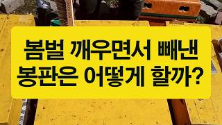 봄벌깨우면서 빼냈던 봉판 소비는 어떻게 할까?
