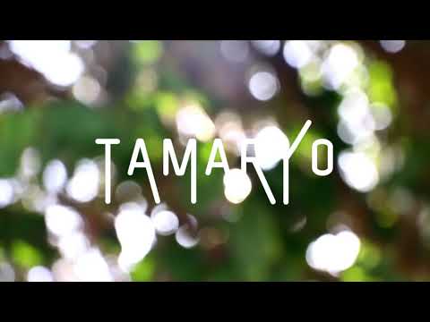 Tamaryo - Conscience