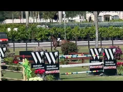 SX - Everton PJ - 145cm - Wellington