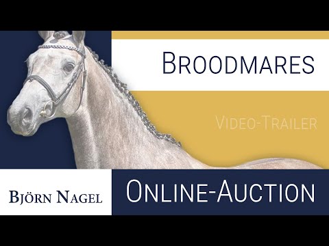 1. Online Auktion Stall Björn Nagel * 04. - 10. September * www.teamnagel.de