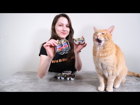 Sheba Cat Food Review (Analysis and Taste Test)