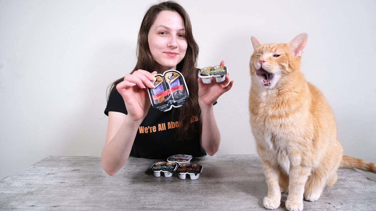 Watch video Sheba Cat Food Review (Analysis and Taste Test) Now Sheba Cat Food Review (Analysis and Taste Test)