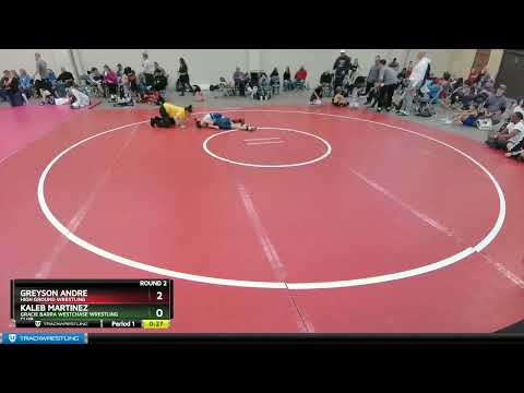 65-65 Lbs Round 2 - Kaleb Martinez, Gracie Barra Westchase Wrestling Club Vs Greyson Andre, High G