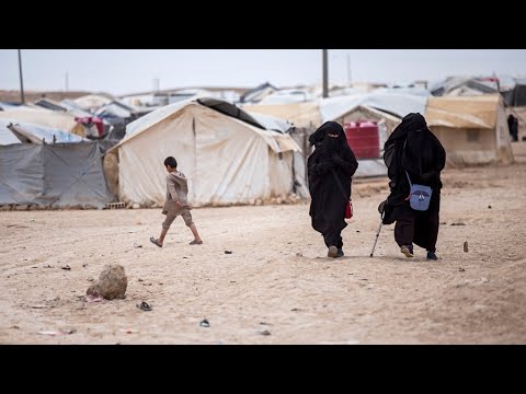 NSW confirms ‘months’ of planning with Albanese government to repatriate ISIS brides