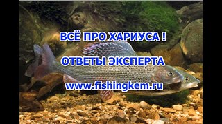 Ссылка