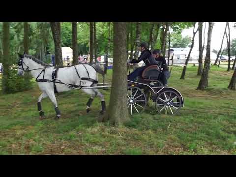 Fahrturnier Alfhausen 22.5.2022