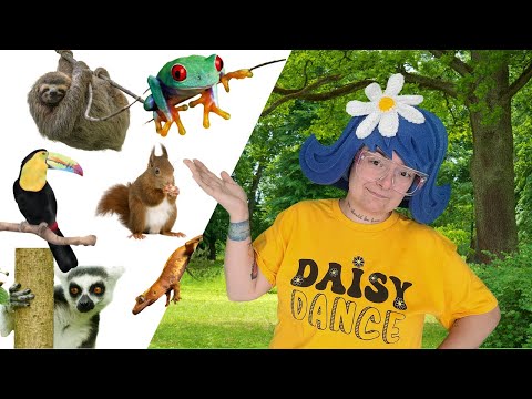 Who Lives In Trees? Jog & Learn with Daisy Dance!