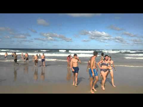 download lagu mp3 mp4 Surfers Paradise Surf Cam, download lagu Surfers Paradise Surf Cam gratis, unduh video klip Surfers Paradise Surf Cam