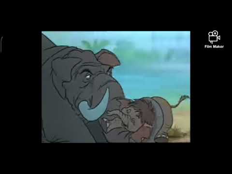 Elephant Smash Finds Out The Ms Kangaroo