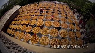 台北之旅：與繪本作者張秀毓有約(版畫印刷體驗班)
創作分享：版畫與土地的故事
版畫實作：小讀者動手做一做版畫拓印