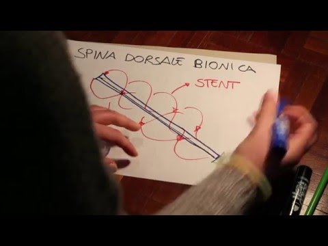Migliori resort con trattamento della colonna vertebrale Come massaggiare la schiena e il collo con il video osteocondrosi