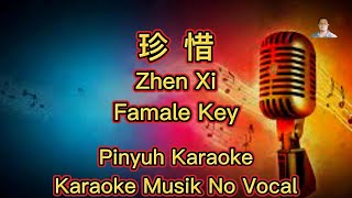 Download lagu Zhen Xi ~  珍惜 ~ Karaoke ~ Musik No Vocals mp3