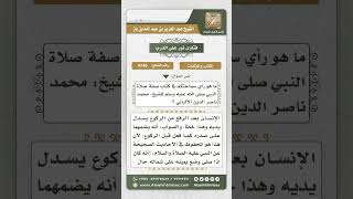 صورة 4746 -  تقييم كتاب صفة صلاة النبي للألباني - نور على الدرب