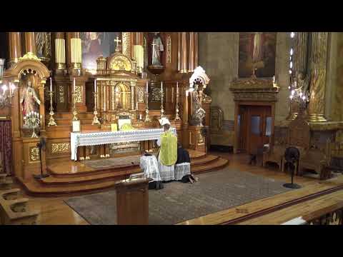 Introitus - Dominica IX Post Pentecosten I. Augusti (Ps 53: 3,6-7)