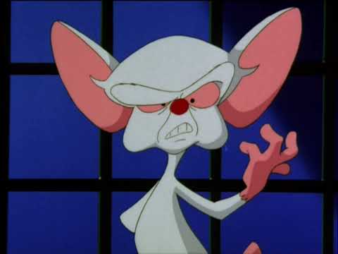 Les Animaniacs - "Minus et Cortex" Générique (V2)