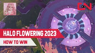 How to Win Starlight Halo Flowering 2023 with the Correct Answers in Royale High Spring 2023