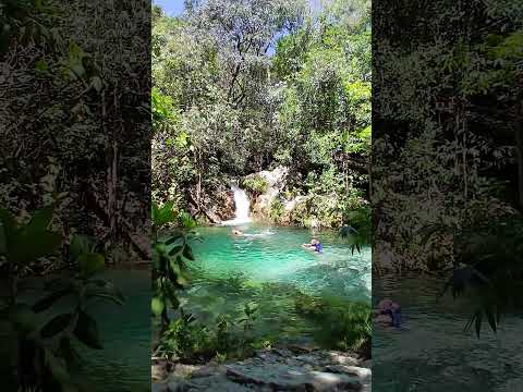 cachoeira santa Bárbara ( cavalcante de Goiás)