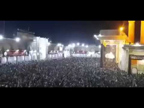 ⁣هتاف الزوار العفوي #زيارتنا_هويتنا