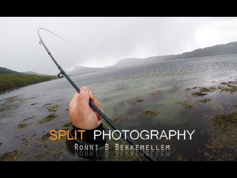 Sea Trout fishing