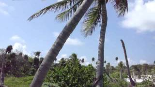 preview picture of video 'Check out this beach - Uvero, Costa Maya'