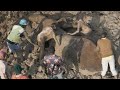 A Four Day Mission To Save An Elephant S Life Sheldrick Wildlife Trust