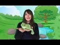 5 Green And Speckled Frogs