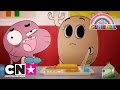 Trailer | De Wonderlijke Wereld van Gumball | Cartoon Network