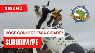 preview picture of video 'Viajando Todo o Brasil - Surubim/PE'