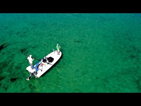Fishing on the Flats in the Bahamas for Bonefish at Old Bahama Bay - 4K