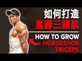 如何打造馬蹄三頭肌 (How to Grow Horseshoe Triceps) | IFBB Pro Terrence Teo