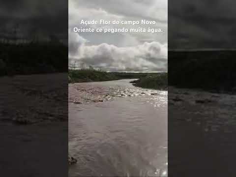 Açude flor do campo cidade de Novo Oriente Ceará